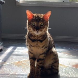 Meet your Posher, Jimmy